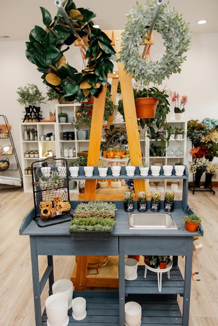 Shop interior with gifts and decor