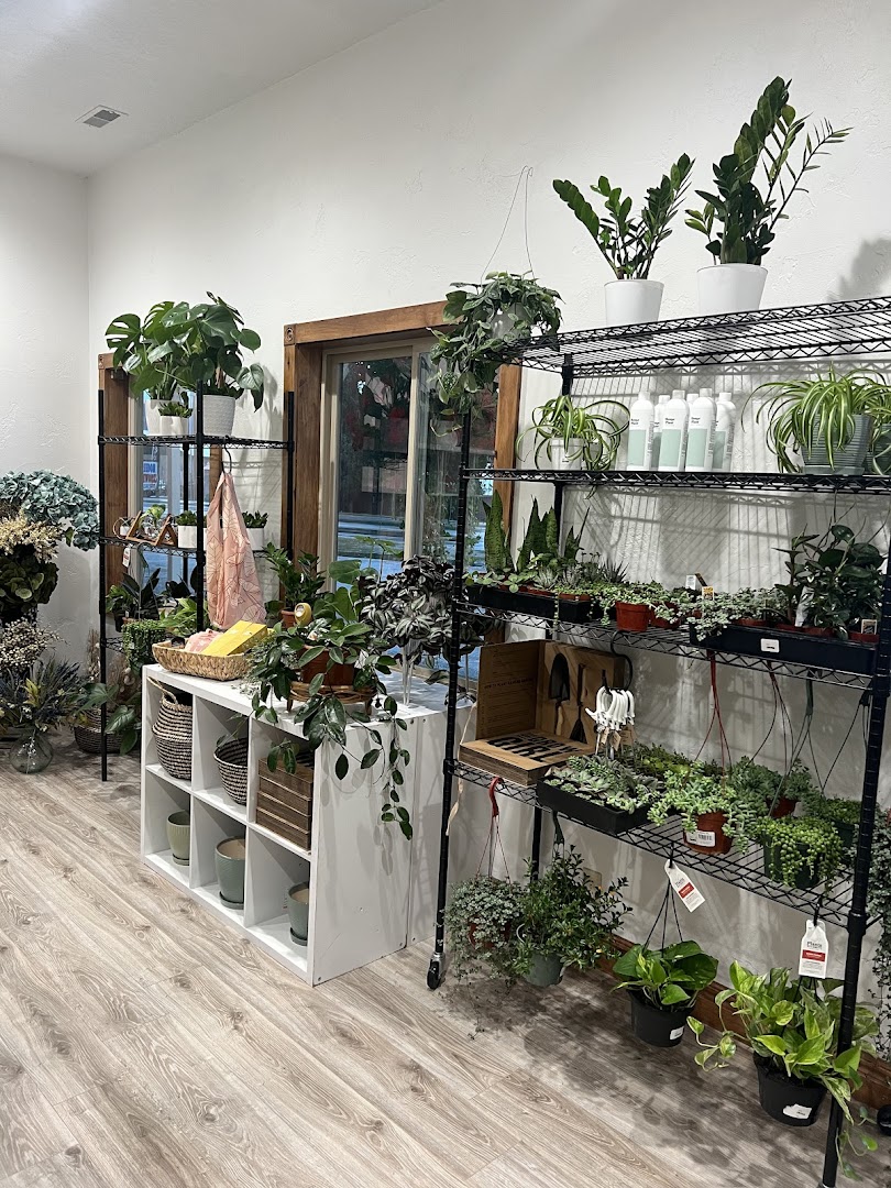 Shop view